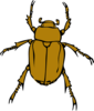 Chafer Bug Clip Art